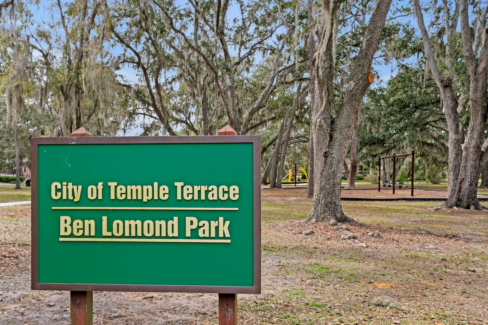 TEMPLE TERRACE ESTATES REP - Residential