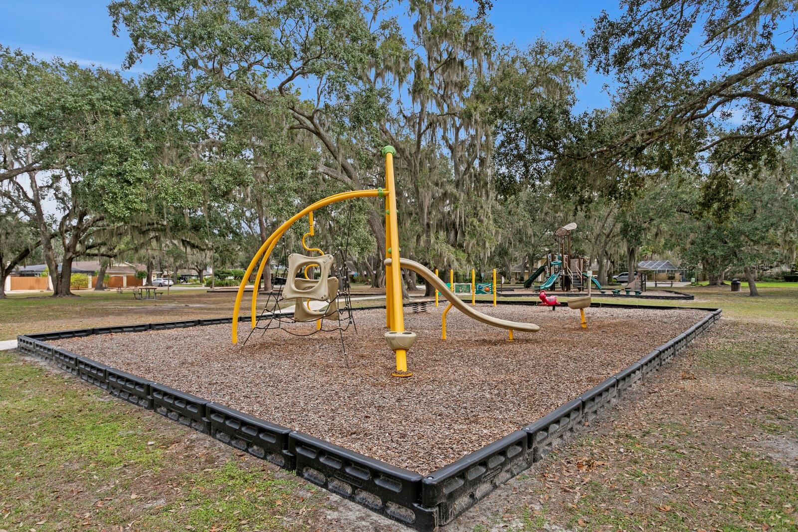 TEMPLE TERRACE ESTATES REP - Residential