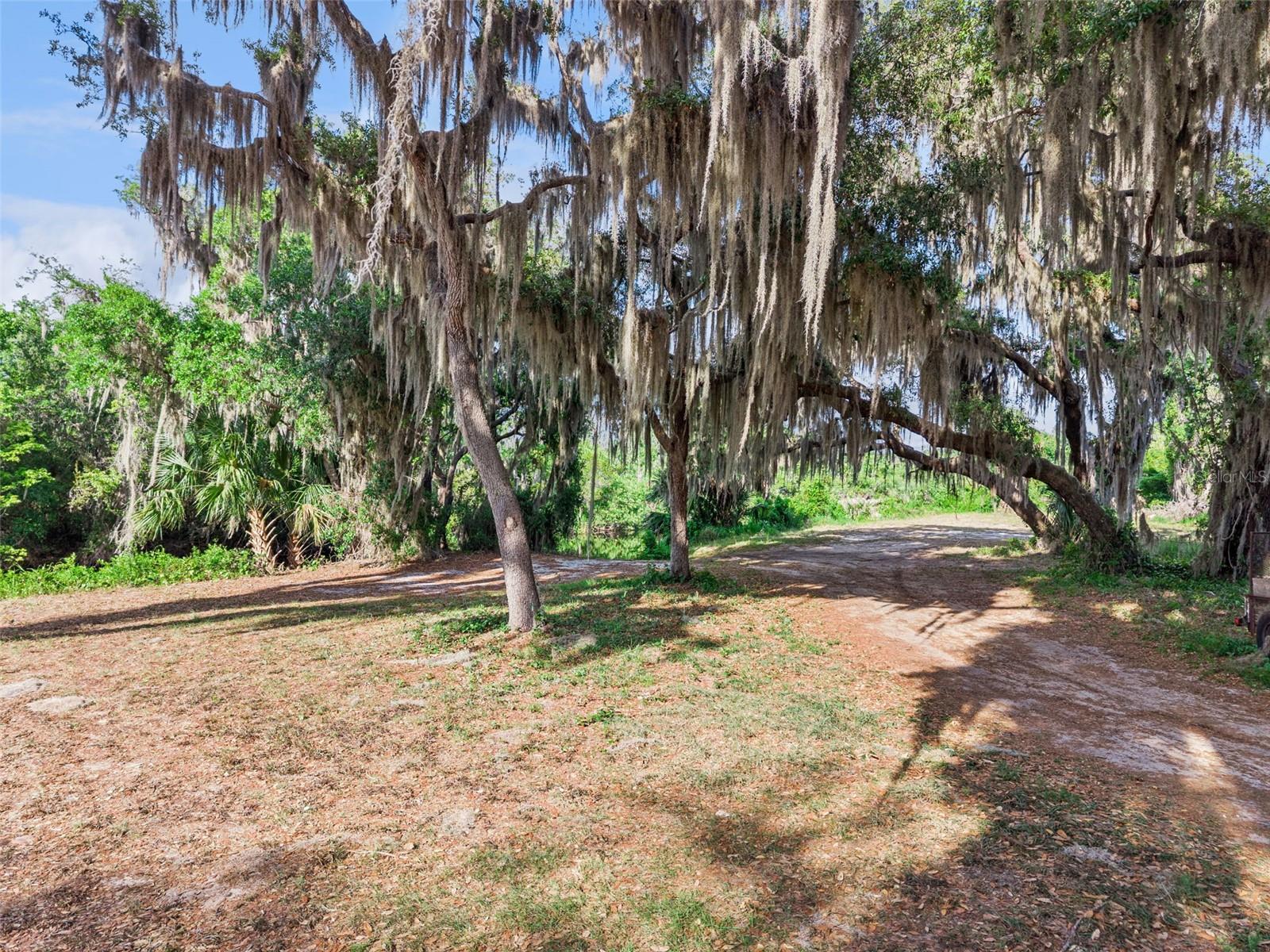 KINGS COVE - Residential