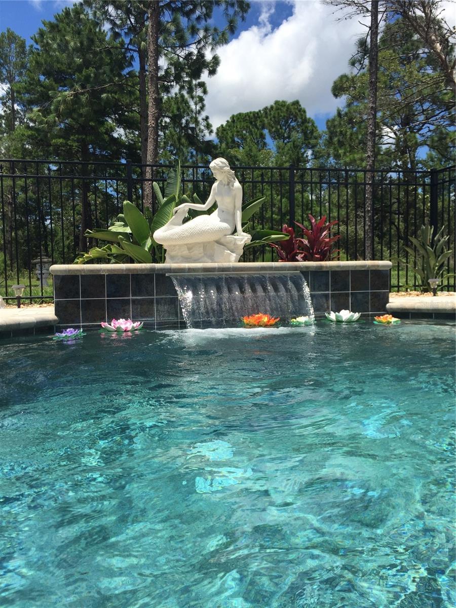 PLANTATION PALMS - Residential