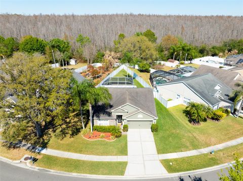 4511 GULFWINDS DRIVE LUTZ FL 33558