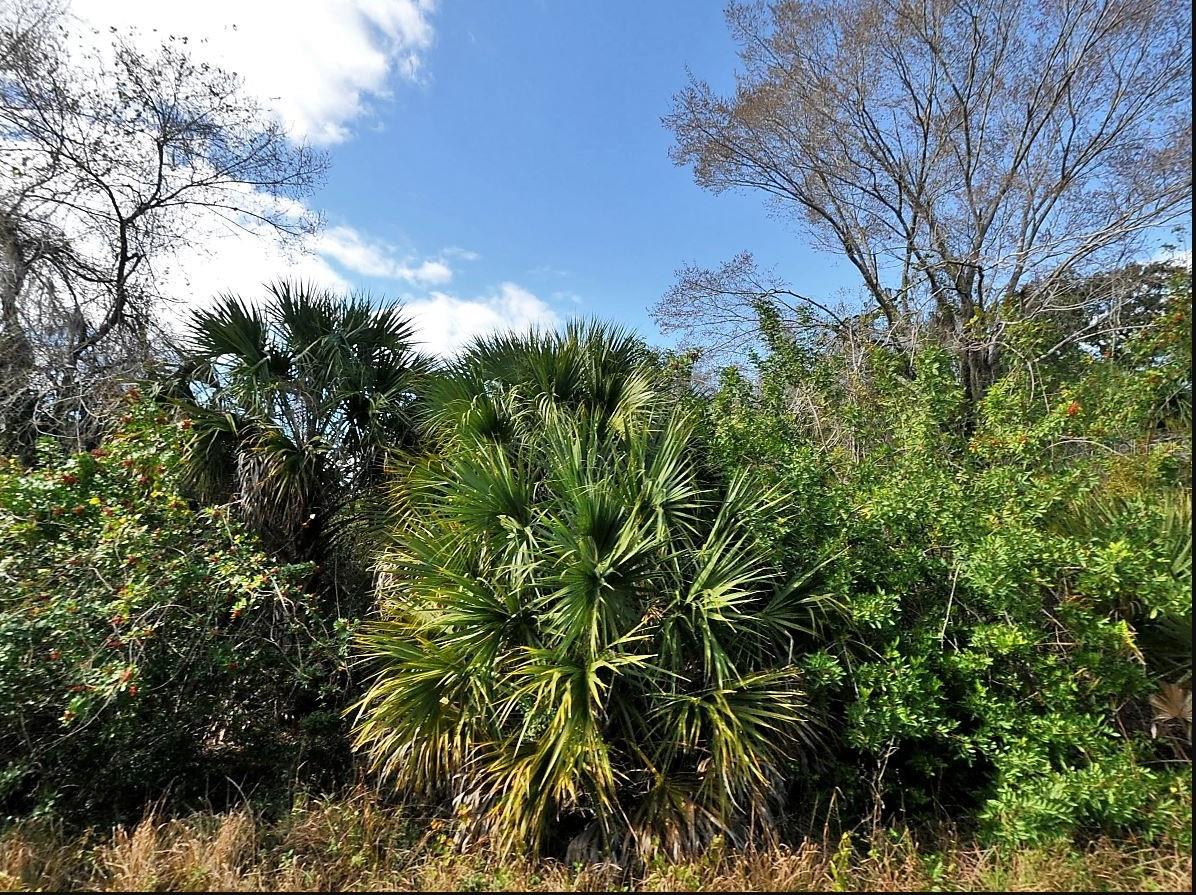 Claim your slice of sunny Florida! This lot offers easy access to Hwy 75, putting you close to all the amenities Florida has to offer. Located in an X flood zone, it is the perfect place to build your dream home with added peace of mind.