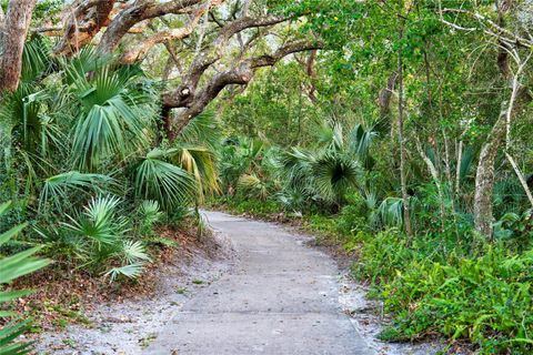 A home in NEW SMYRNA BEACH