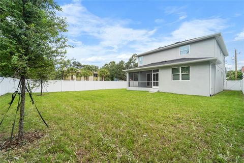 A home in TAMPA