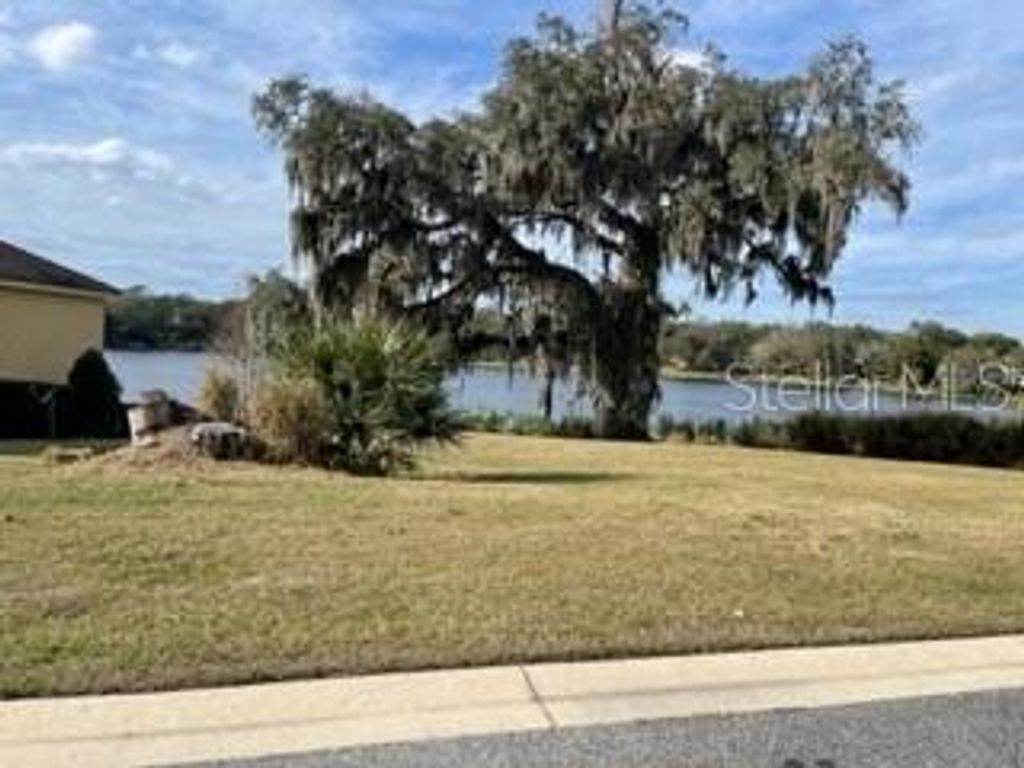 Photo of 421 W Blue Water Edge Drive, Eustis, FL 32736 (MLS # O6390448)