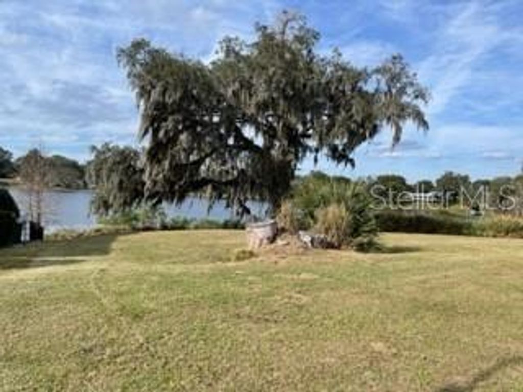 Photo of 421 W Blue Water Edge Drive, Eustis, FL 32736 (MLS # O6390448)
