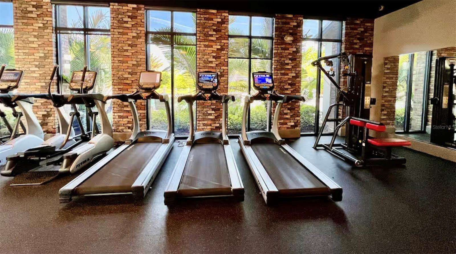 FESTIVAL PH 5 - Residential