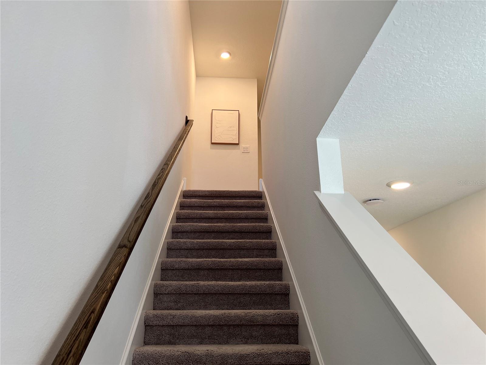 FESTIVAL PH 5 - Residential