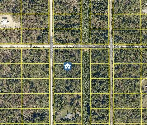 Live the Florida lifestyle on this serene 1.5-acre parcel in the heart of Royal Highlands, Weeki Wachee!
Build your dream home surrounded by nature, where peace, privacy, and adventure await. This beautiful property backs up to a quiet canal—perfect for fishing, kayaking, paddleboarding, or simply enjoying the view of lily pads dancing on the water.
Zoned R1C with no HOA, no CDD, and no deed restrictions, this lot gives you the freedom to create your ideal Florida retreat. Experience country living just minutes from the city—close to shopping, dining, schools, entertainment, and top medical facilities.
Explore the nearby 12,000-acre Weeki Wachee Preserve or visit the famous Weeki Wachee Springs State Park, home to mermaid shows, manatee sightings, water rides, and more.