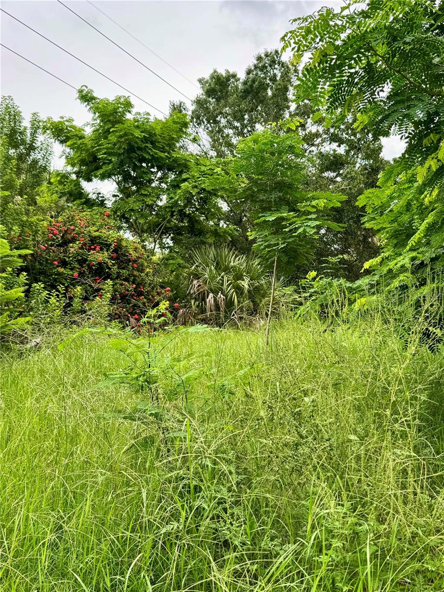 CHARLOTTE HARBOR - Land