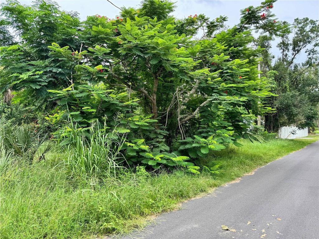 Photo of 4466 Ganyard Street, Punta Gorda, FL 33980 (MLS # C7514313)