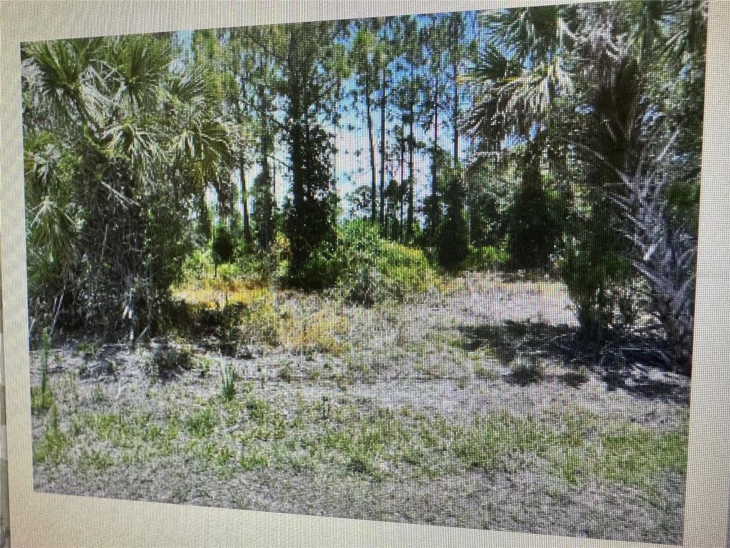Photo of Sago Palm Road, North Port, FL 34291 (MLS # C7525715)