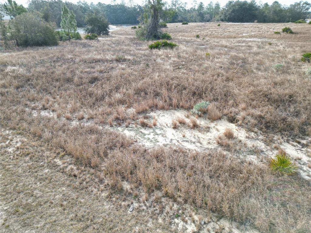 Photo of 1319 Hillsborough Lane, Kissimmee, FL 34759 (MLS # S5143682)