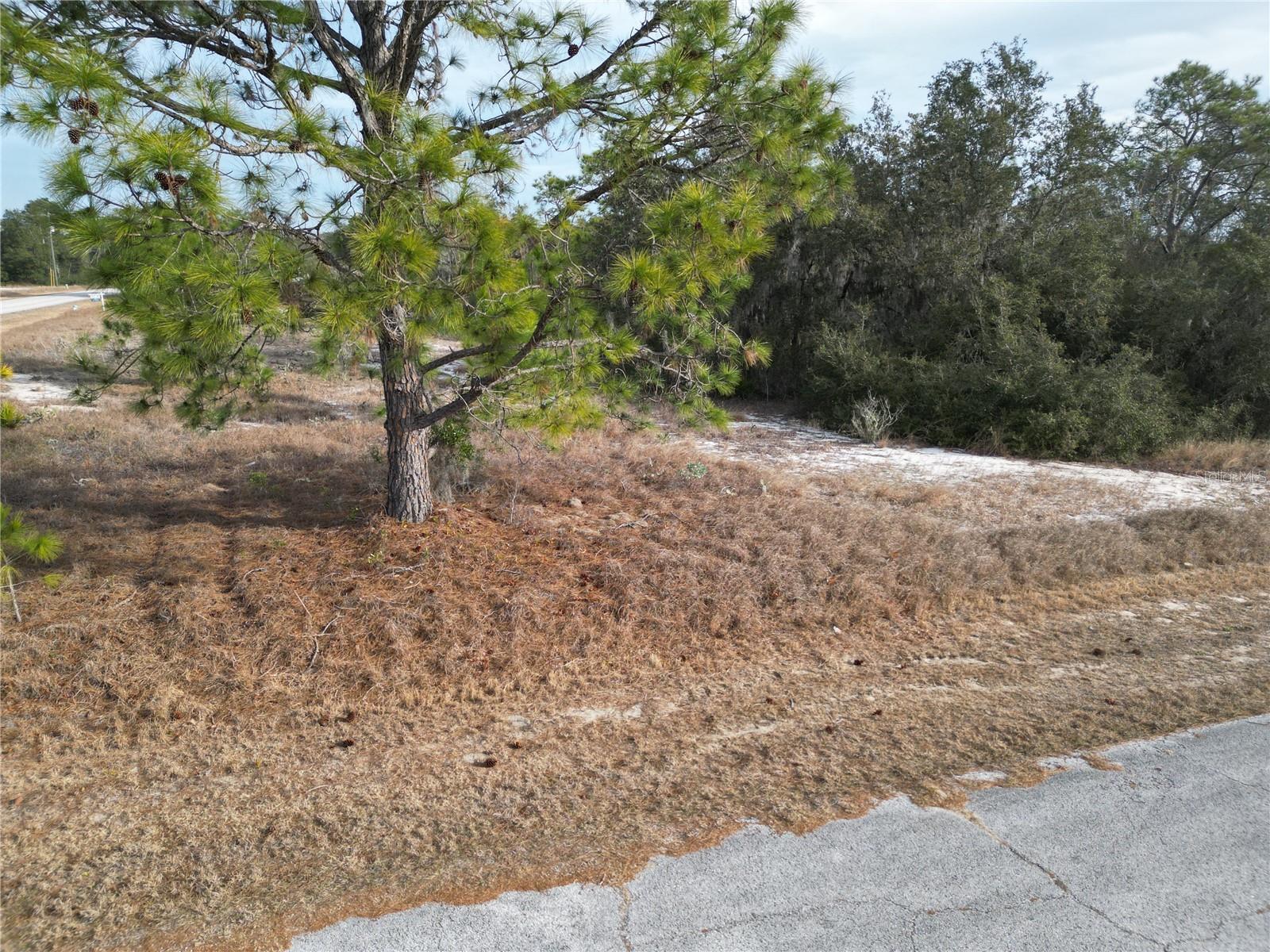 POINCIANA NBRHD 02 WEST VILLAGE 07 - Land