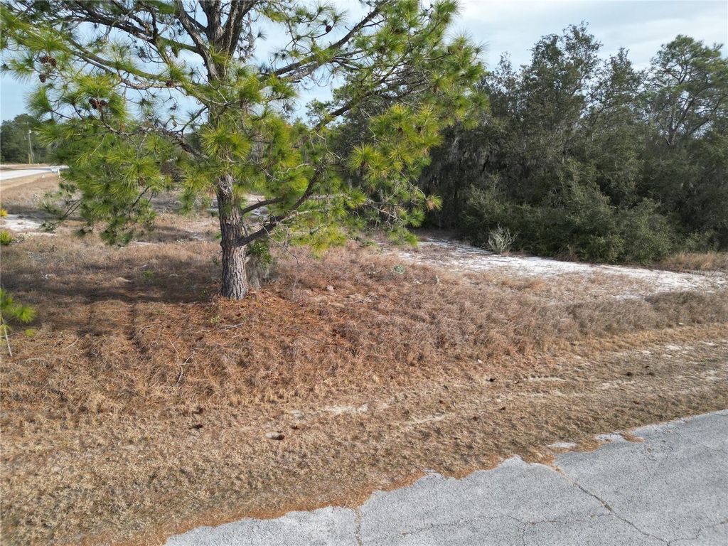 Photo of 1319 Hillsborough Lane, Kissimmee, FL 34759 (MLS # S5143682)