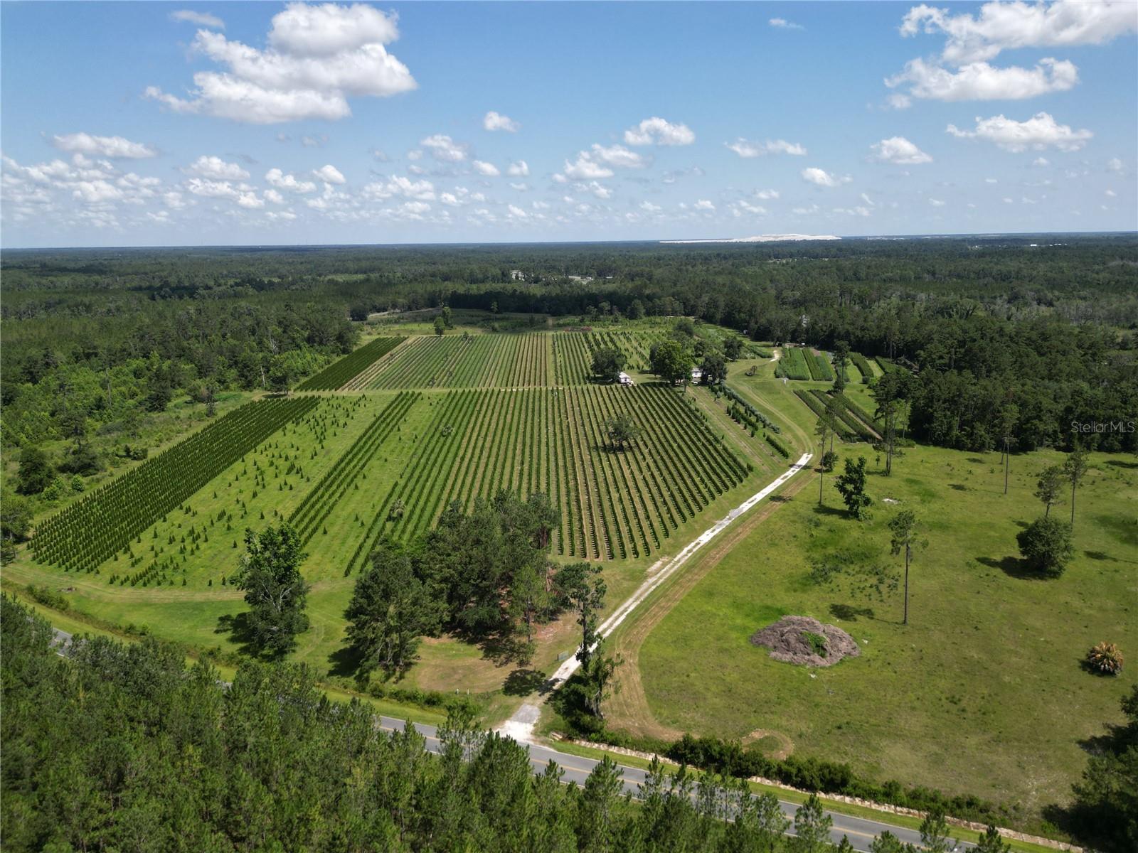 A Rare Opportunity- 80 acres of natural beauty & proven income potential! This exceptional property offers a unique blend of privacy, agricultural income, and serene Florida landscape. Spanning two adjacent 40-acre parcels, the land features approximately 28 acres of fully irrigated nursery/tree farm and 52 acres of improved pasture and timber-perfect for farming, livestock, hunting, or simply enjoying the expansive open space.
The property is well equipped with three operating four inch wells, internal roads, fencing, pump houses, and full irrigation systems. A permitted 1216 sq ft manufactured home (3 bed, 2 bath) provides on-site living.
Located near the historic mineral springs (White Sulpher Springs), Suwannee River, & Steven Foster Folk Culture Center State Park.
An excellent investment for agri-business owners, investors, or nature lovers-and it qualifies for agricultural tax exemption under Florida’s Greenbelt Law (Buyer to confirm continued eligibility with the county property appraiser). Don't miss your chance to own a productive, beautiful slice of Florida land!
