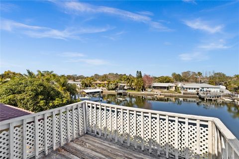 A home in PALM HARBOR