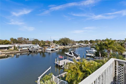 A home in PALM HARBOR