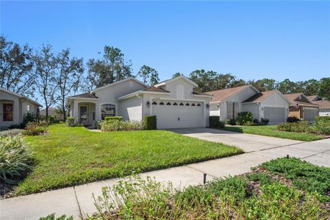 A home in SPRING HILL