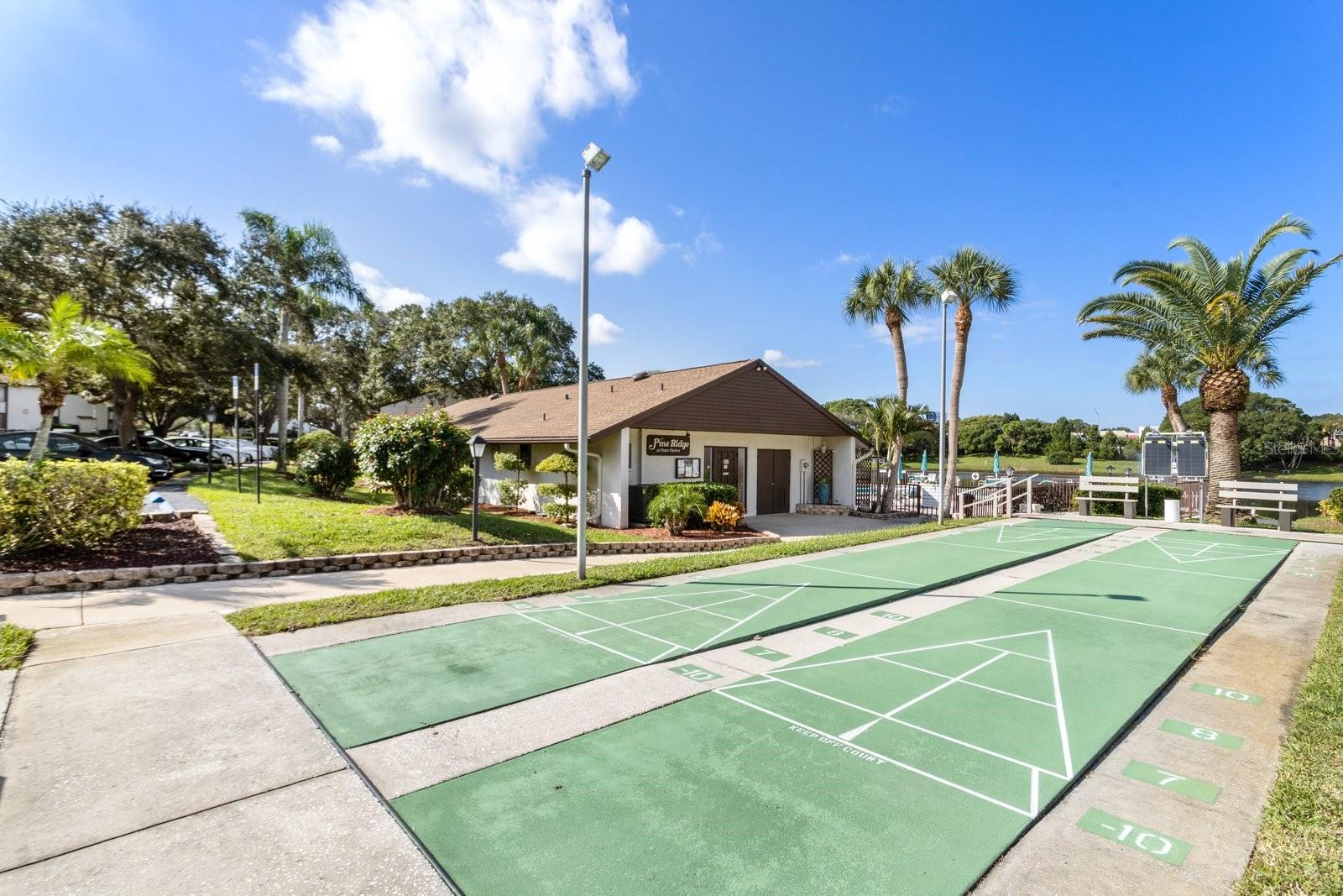 PINE RIDGE AT PALM HARBOR - Residential