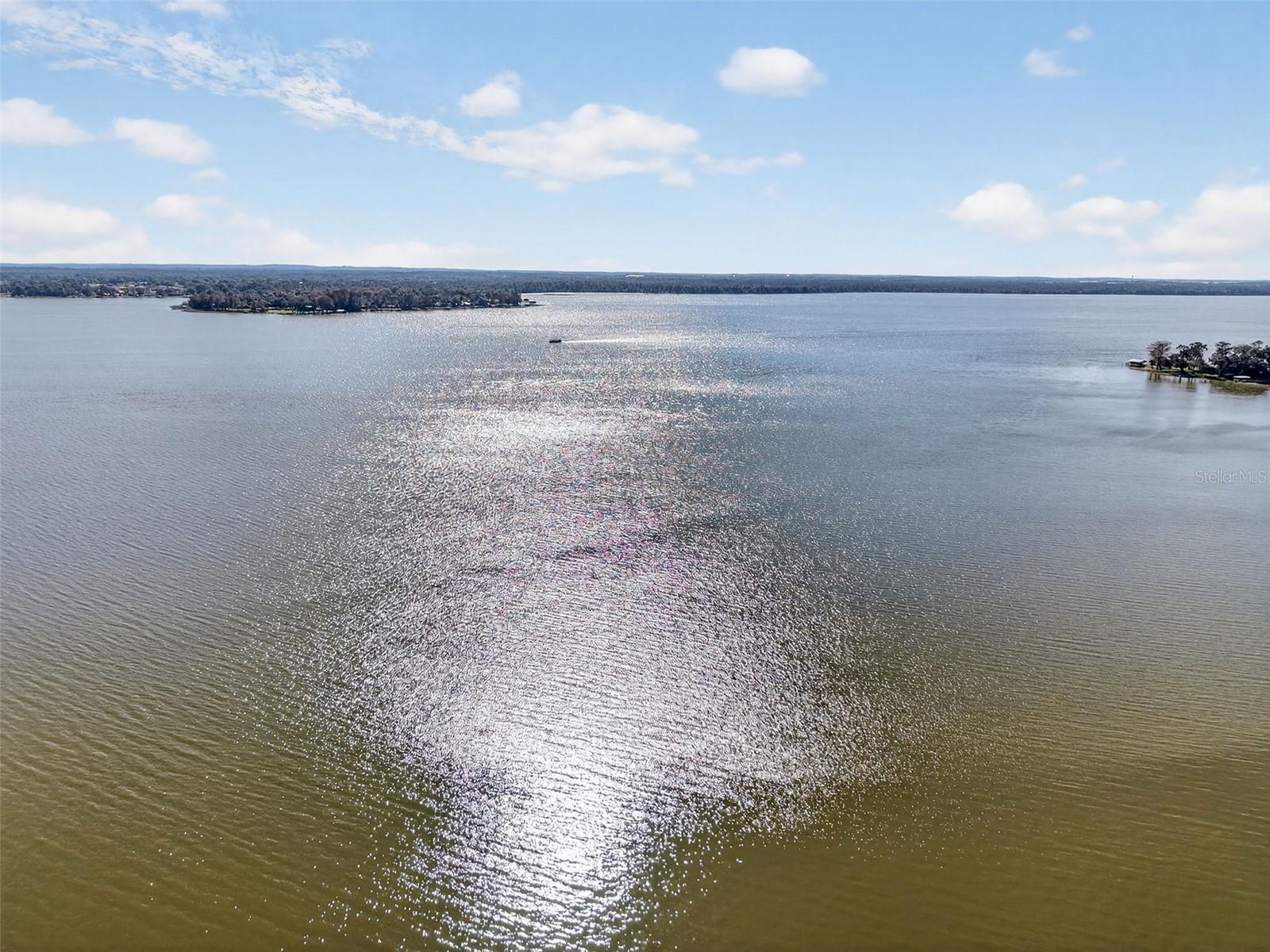 LAKE DORA OAKS - Residential