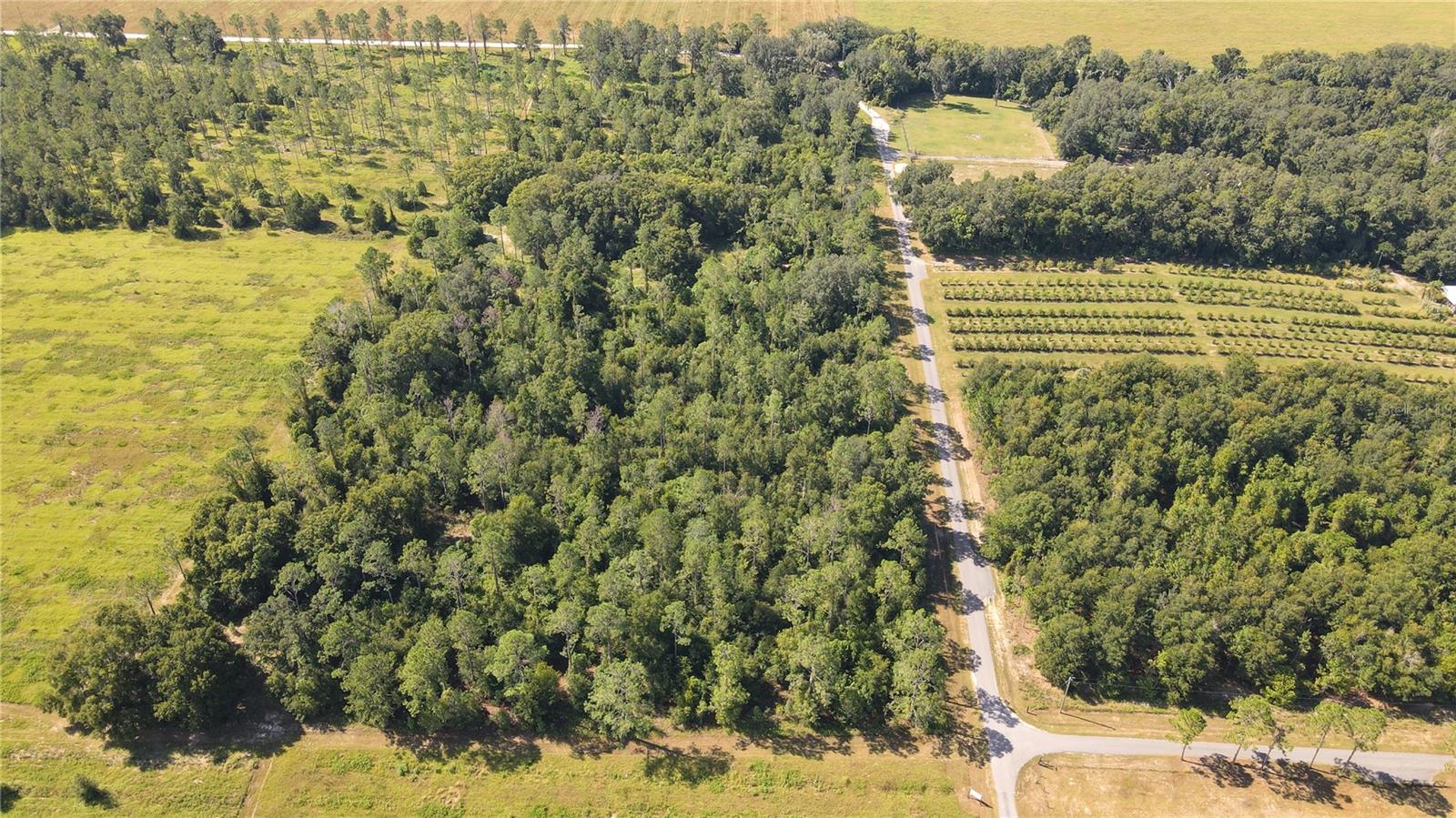 The subject property is a 10-acre gently rolling lot nestled in the hills of north Dade City. The lot is carved from a 40-acre parcel consisting of four 10-acre lots known as Amberlea Estates. It is mostly wooded and is accessible via 1,338 feet of frontage on Spring Branch Road and 332 feet of frontage on Amberlea Road. Additionally, the site is tucked away allowing for a private, rural setting while still being in close proximity to modern conveniences. The property appears to be mostly high and dry. Zoning is AC (Agricultural District), which allows for 1 unit per 10 acres, and future land use is AG/R (Agricultural Rural), which allows for 1 unit per 5 acres. Utilities are well and septic.
The property is located in Dade City on Amberlea Road in scenic northern Pasco County. Its proximity to I-75 allows for quick travel times to Wesley Chapel (20 minutes), downtown Tampa (40 minutes), Tampa International Airport (40 minutes), St. Petersburg (1 hour), Ocala (1 hour), and Orlando (1 hour 20 minutes). Local shopping, schools and medical are all within 15 minutes as well. Access is provided by taking Jessamine Road to Amberlea Road. Once on Amberlea, the property is 0.7 miles down on the right. Additionally, access may be provided via Spring Branch Road, which branches off of Amberlea Road.