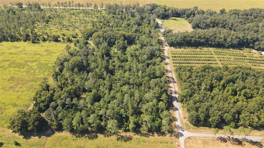 The subject property is a 10-acre gently rolling lot nestled in the hills of north Dade City. The lot is carved from a 40-acre parcel consisting of four 10-acre lots known as Amberlea Estates. It is mostly wooded and is accessible via 1,338 feet of frontage on Spring Branch Road and 332 feet of frontage on Amberlea Road. Additionally, the site is tucked away allowing for a private, rural setting while still being in close proximity to modern conveniences. The property appears to be mostly high and dry. Zoning is AC (Agricultural District), which allows for 1 unit per 10 acres, and future land use is AG/R (Agricultural Rural), which allows for 1 unit per 5 acres. Utilities are well and septic.

The property is located in Dade City on Amberlea Road in scenic northern Pasco County. Its proximity to I-75 allows for quick travel times to Wesley Chapel (20 minutes), downtown Tampa (40 minutes), Tampa International Airport (40 minutes), St. Petersburg (1 hour), Ocala (1 hour), and Orlando (1 hour 20 minutes). Local shopping, schools and medical are all within 15 minutes as well. Access is provided by taking Jessamine Road to Amberlea Road. Once on Amberlea, the property is 0.7 miles down on the right. Additionally, access may be provided via Spring Branch Road, which branches off of Amberlea Road.

Amberlea Estates has some deed restrictions. See attached.