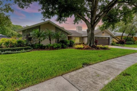 A home in TAMPA