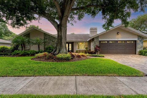 A home in TAMPA