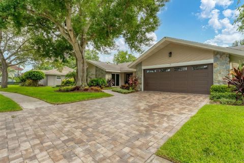 A home in TAMPA