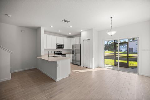 Photo of 3339 SE 37th Avenue Road, Ocala, FL 34480 (MLS # OM724520)