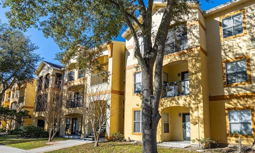 Come and see this lovely 1 bedroom 1 bathroom in a GATED COMMUNITY and located on the first floor with no stairs to climb here. Nestled in the heart of CARROLLWOOD just down the road from Citrus park mall and the trails. Very well maintained and taken care of. The house has a semi open floor plan perfect for entertaining and having guests over. This home feels much larger than it is. If you are looking for a great cash flowing rental this could be the one. Or if you are looking for the cozy and comfy ground floor condo with all the amenities in the heart of Carrollwood this is it. It sits within a few minutes of everything. Contact agent for more photos and video walkthrough. 24 hour notice required to show. REALTORS PLEASE SUBMIT OFFERS to email in realtor remarks.
Copy paste Video walkthrough https://drive.google.com/drive/folders/12Pmeoq5RwBs7T_o1Bc0VhU5ksQB-xnO1