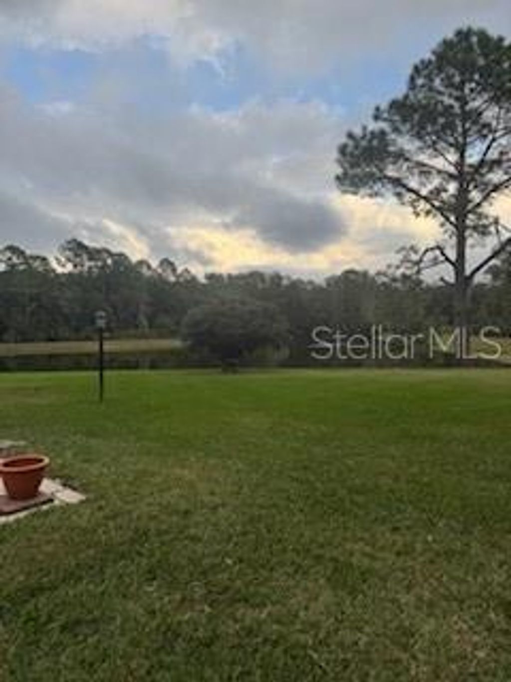 Photo of 9051 Quail Creek Drive, Tampa, FL 33647 (MLS # TB8454438)