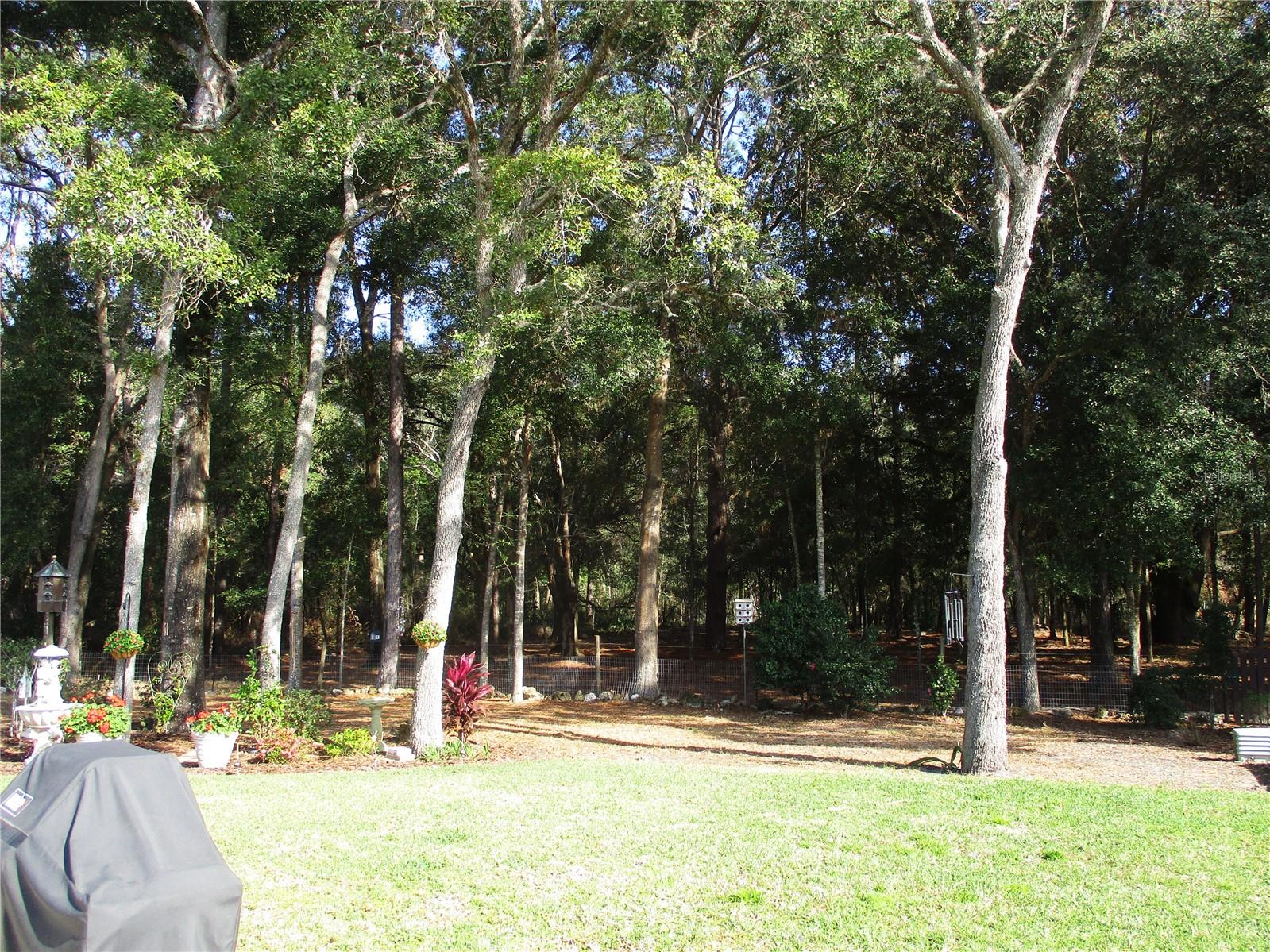 SPRUCE CREEK PRESERVE 07 - Residential