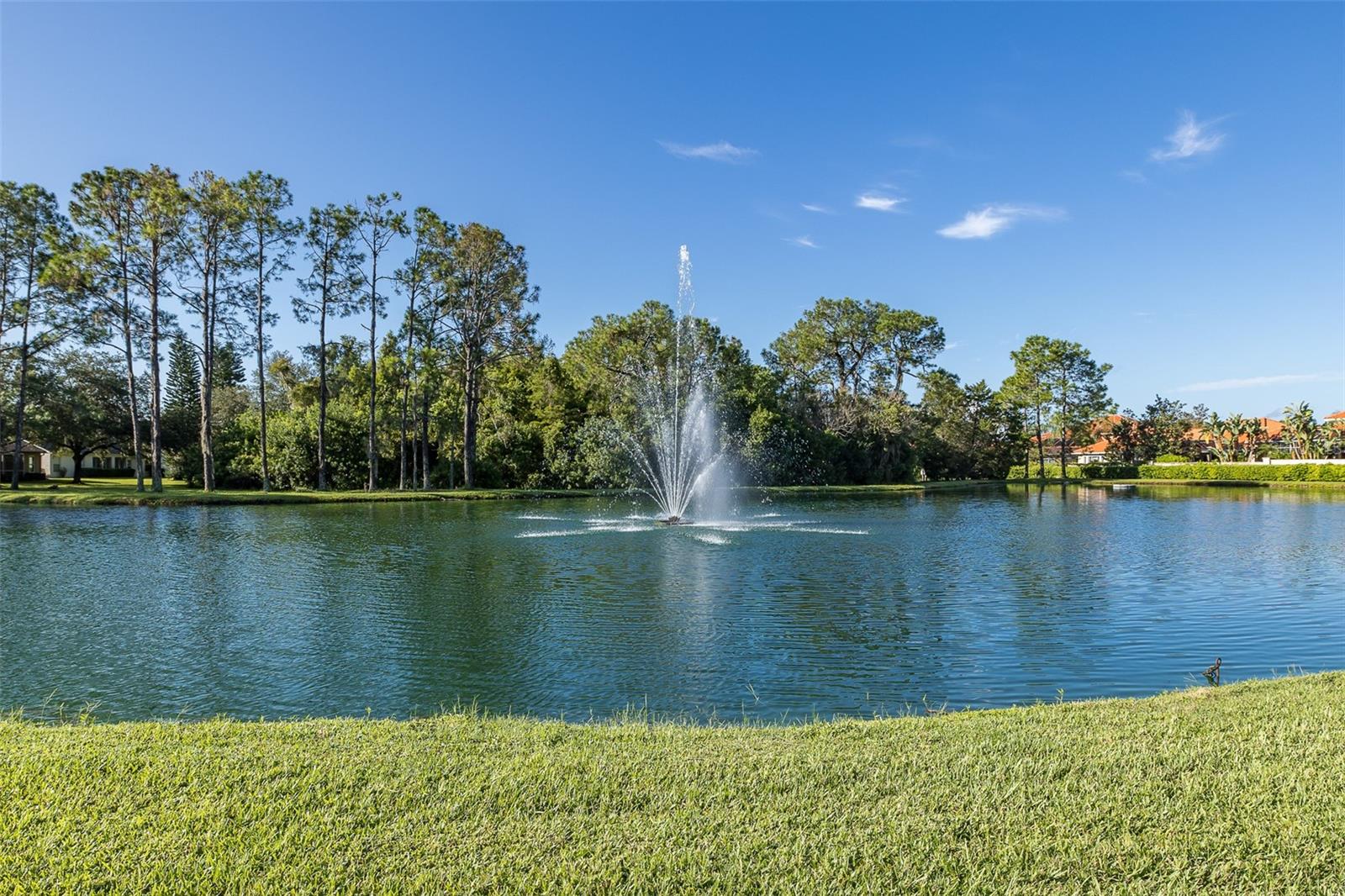 HERITAGE SPGS VILLAGE 16 - Residential