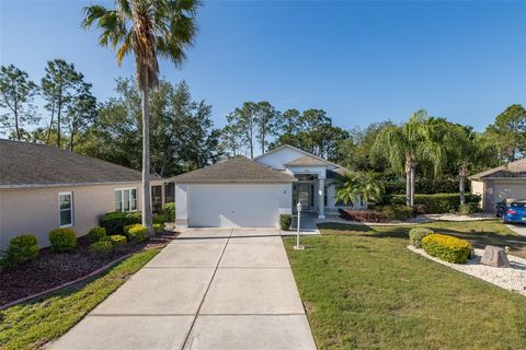 Photo of 11428 Hidden Cove Court, New Port Richey, FL 34655 (MLS # W7885201)