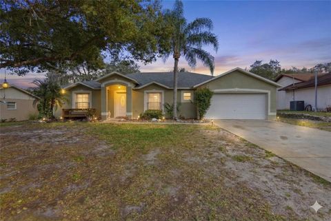 Photo of 715 Jena Drive, Deltona, FL 32725 (MLS # V4947709)
