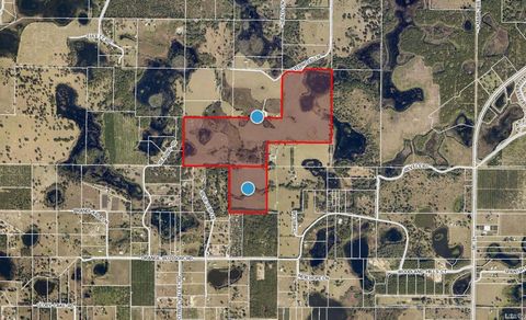 0000 SILVERWOOD LANE HOWEY IN THE HILLS FL 34737