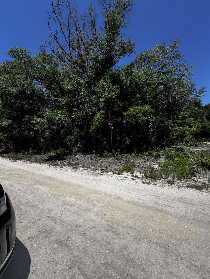 23 Acre Building Lot – No HOA, Prime Ocala Location. Your chance to own a .23 acre building lot in a desirable area with no HOA fees. Bring your plans and enjoy the freedom to create your Florida home exactly how you want it. Minutes to the Rainbow River: Kayak, tube, or swim in crystal-clear springs. Close to World Equestrian Center (WEC): 15–20 min drive to world-class shows, dining, and events. Shopping & dining nearby: Easy access to groceries, restaurants, and everyday conveniences. Access to Rolling Ranch Park: Enjoy walking trails, playground, and sports fields right in the community. Whether you’re dreaming of a quiet retirement spot, a family home near great parks, or an investment close to Ocala’s top attractions, this lot puts you in the middle of it all without the HOA hassle.
