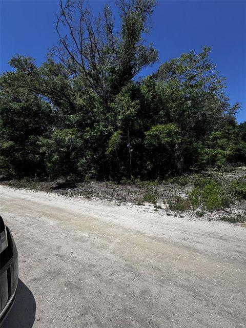 Photo of 0 SW 104th Lane, Dunnellon, FL 34432 (MLS # OM724374)