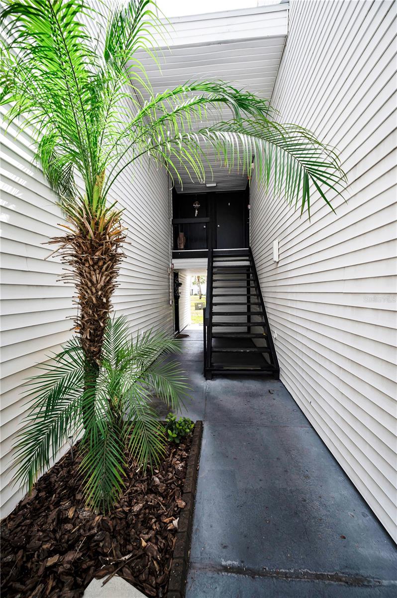PALMS OF TARPON SPGS - Residential