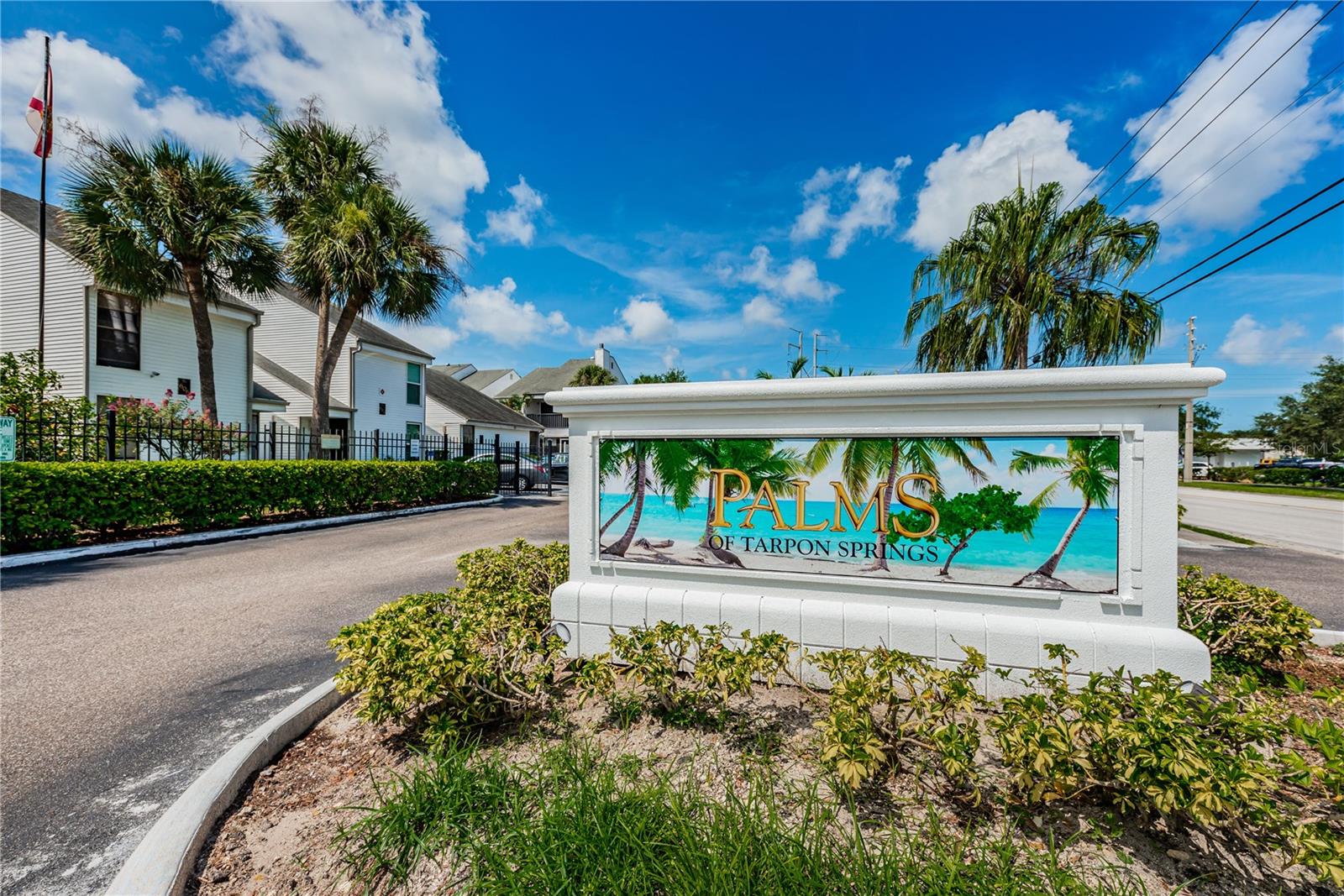 PALMS OF TARPON SPGS - Residential
