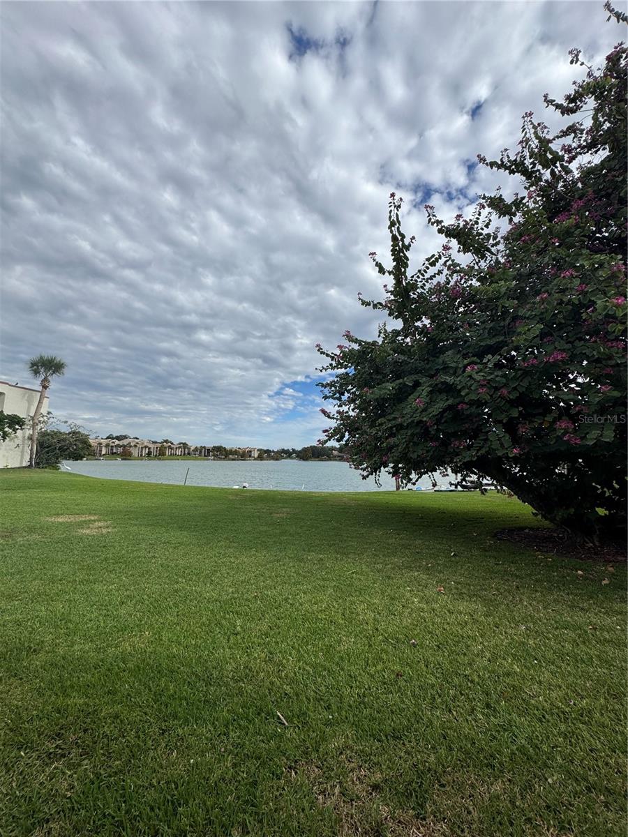 ROYAL ARMS CONDO - Residential Lease