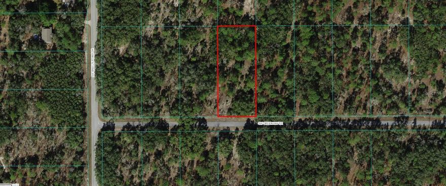 A VACANT LOT IN RAINBOW LAKE ESTATES IN MARION COUNTY!!! .99 ACRE!!
