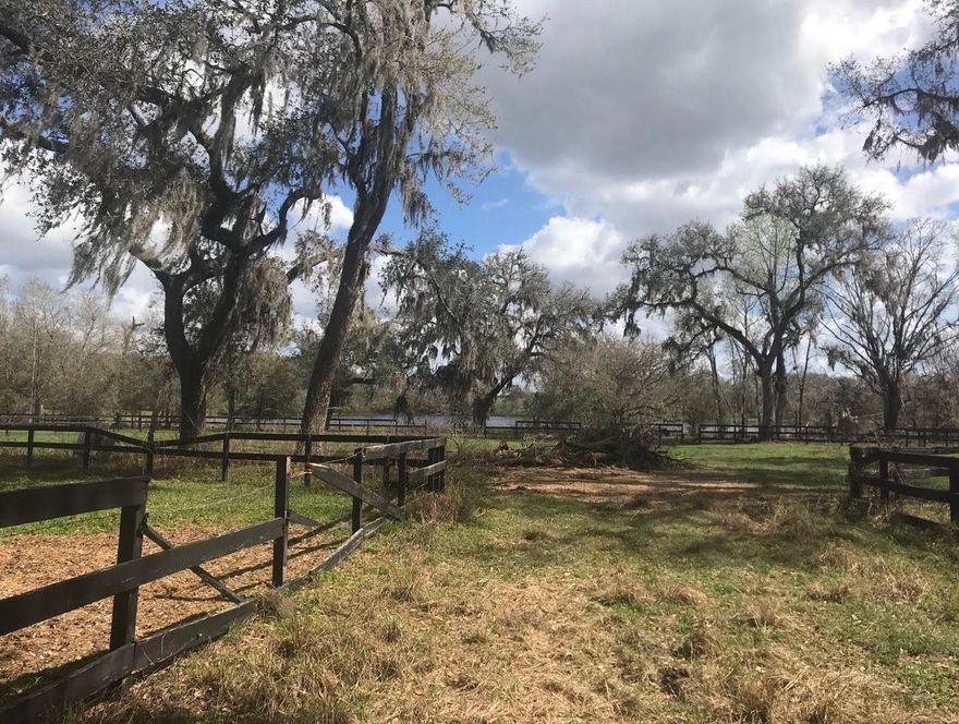 10 Acres on Palomino Lake – Build Your Dream Estate! 
Rare opportunity to own 10.02 acres with just over 400 feet of private waterfront on Lake Palomino! (Appx 2.5 acres of wetland) This stunning, lot offers peace, privacy, and endless possibilities - whether you're looking to build a custom home, create a retreat, or invest in acreage with beautiful water views, fishing, and wildlife galore. No HOA, no CDD. Zoned AC - bring your toys, animals, and vision! The land is ready for you with a well and electric already available. 
Convenient location near major roads but tucked away enough to feel like your own slice of paradise. Owner will finance with 50% Down Payment.