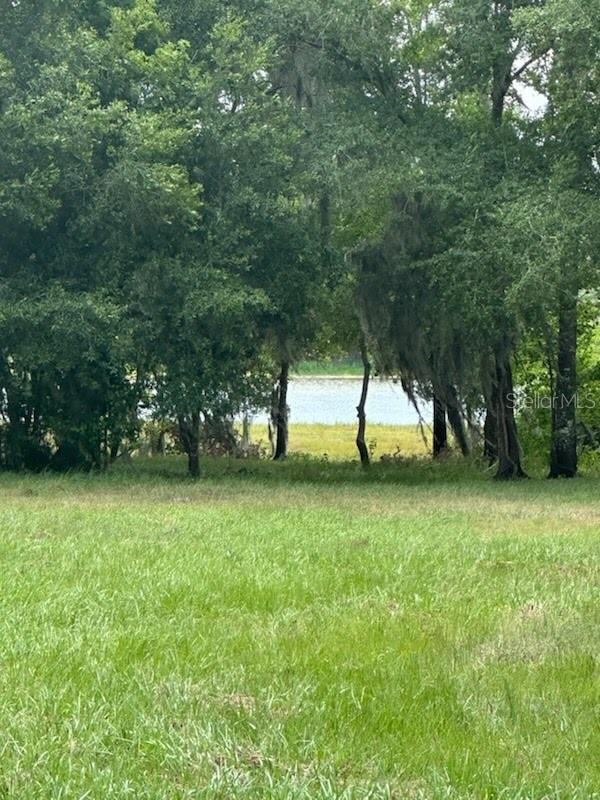 PALOMINO LAKES - Land