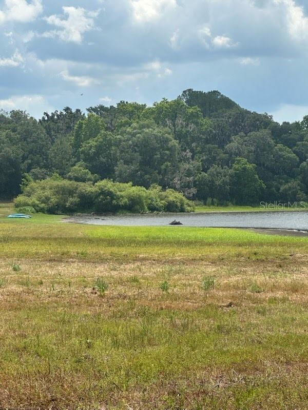 PALOMINO LAKES - Land
