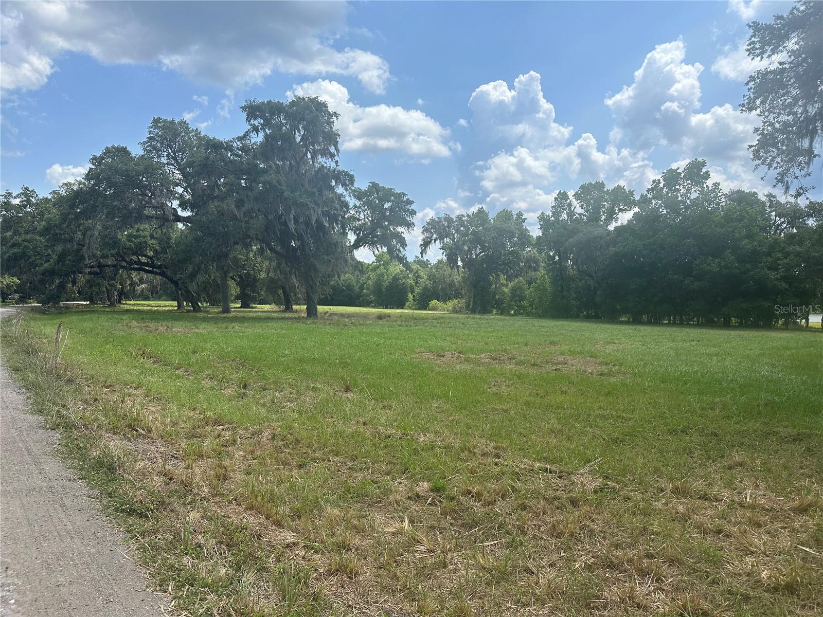 PALOMINO LAKES DR