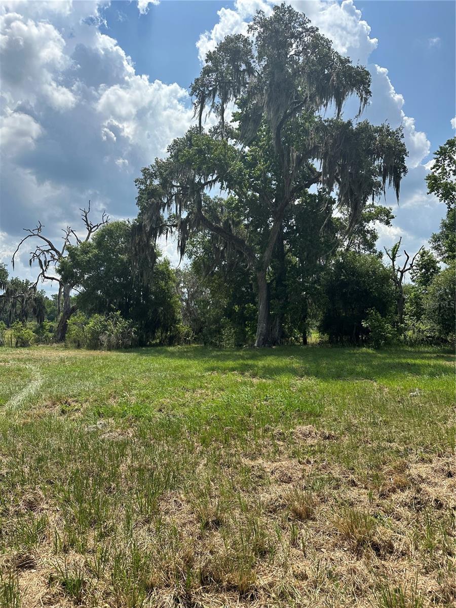 PALOMINO LAKES DR