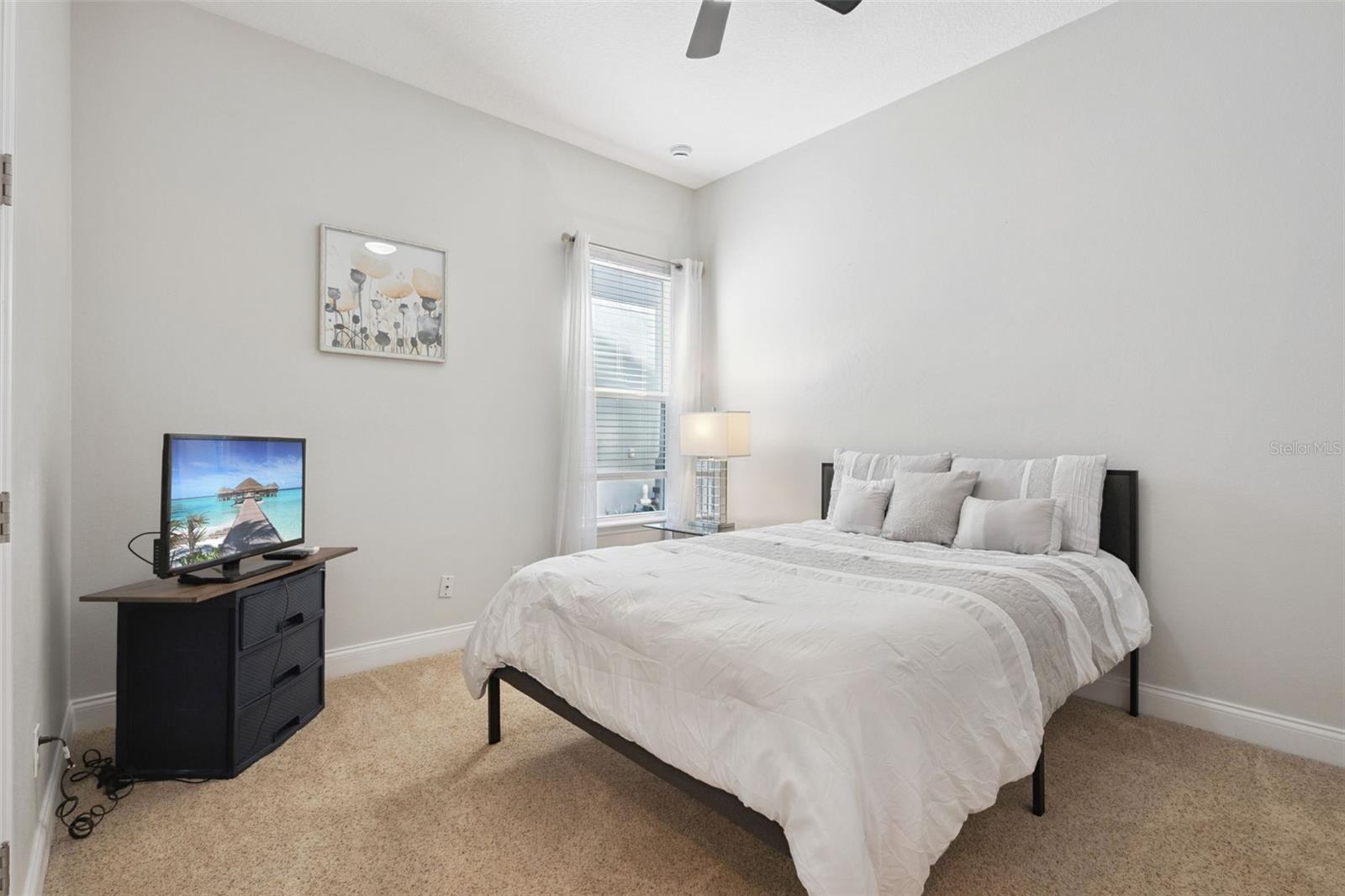 RANDAL PARK - Residential